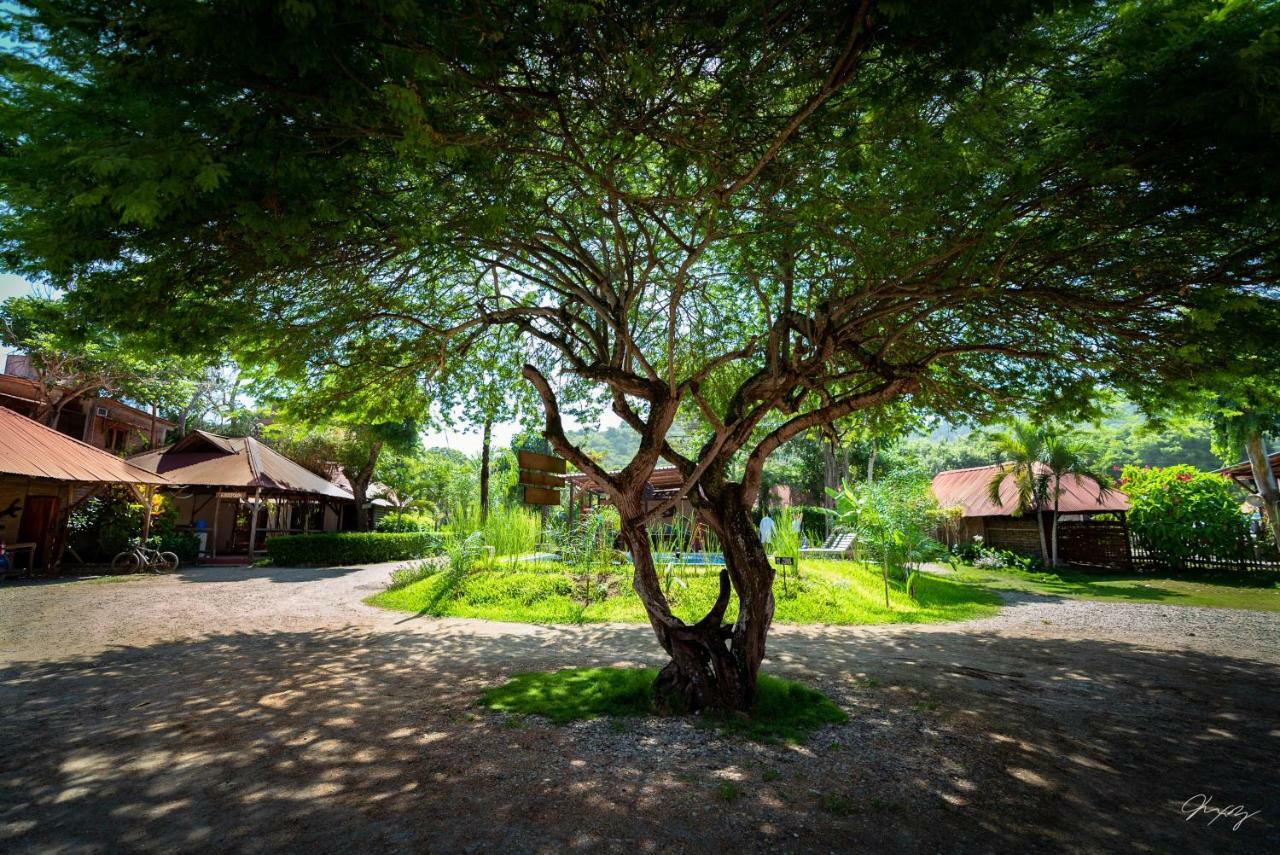 Cabanas La Tortuga Ayampe Luaran gambar